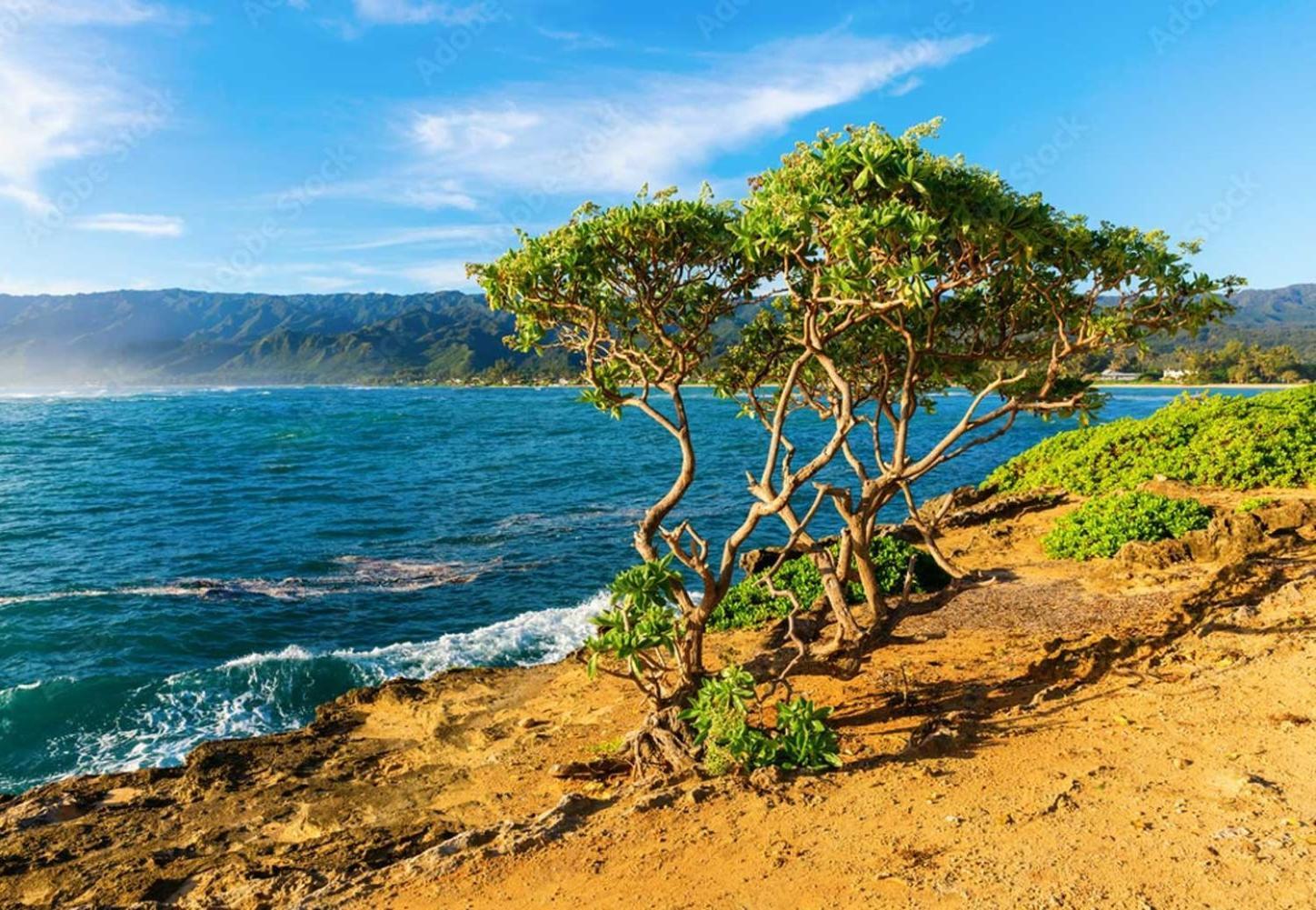Naupaka Breeze Ocean View Ac 30 Day Stay Specials! Laie المظهر الخارجي الصورة